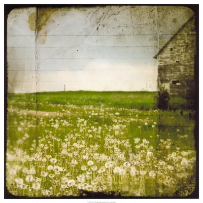 Field II