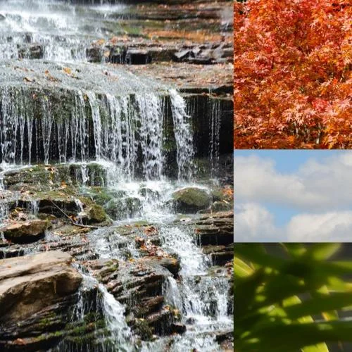 Waterfall Collage