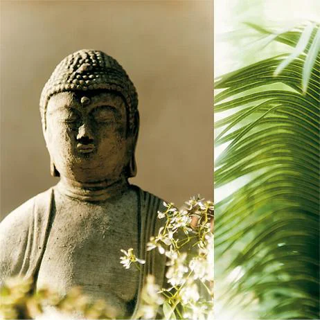 Buddha Breeze II