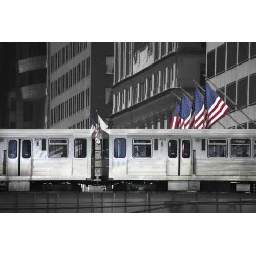 Chicago Loop and Flags