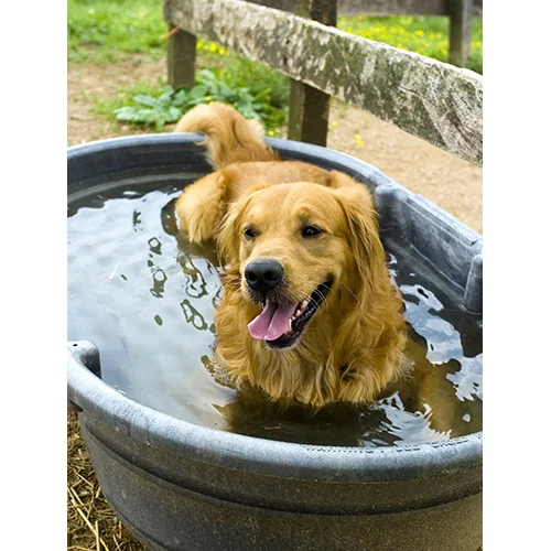 Bath Time