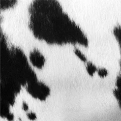 Animal Instinct VI