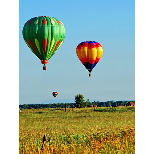 Field of Balloons