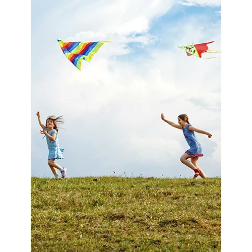 Windy Day