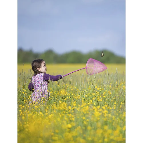 Butterfly Snatcher