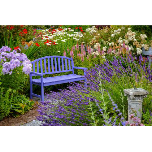 Purple Bench in the Park