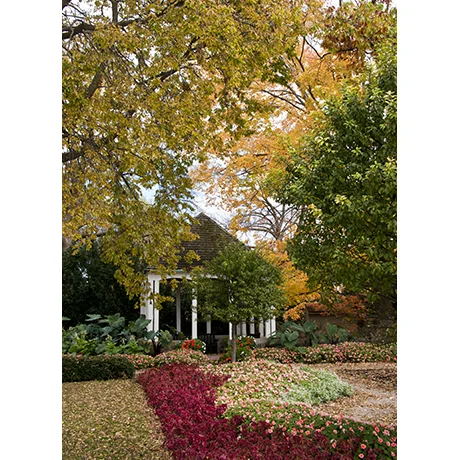 Fall in the Garden