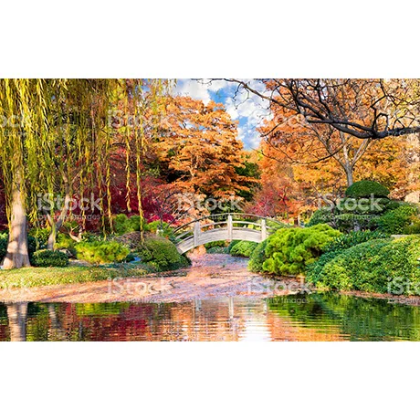 Moon Bridge in Japanese Gardens