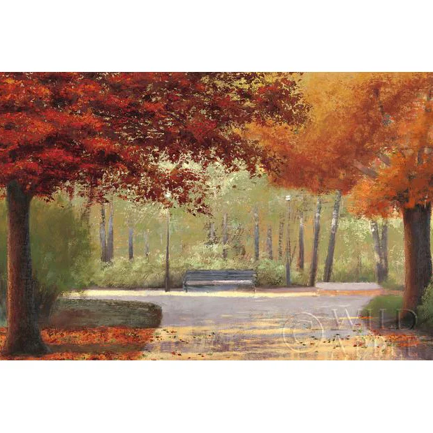 Autumn Stroll No People