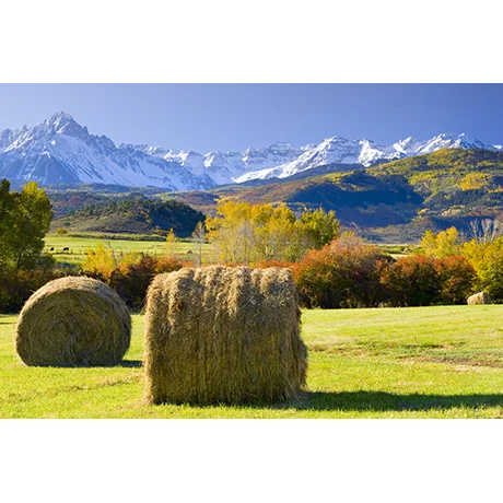 Preparing Hay Bales