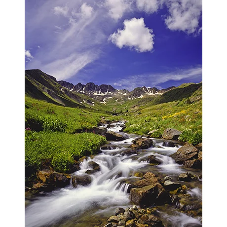 Mountain Springs