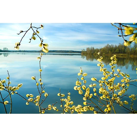 Spring Landscape and River