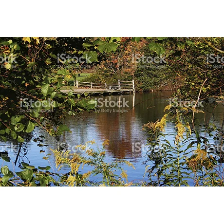 Dockside in Fall