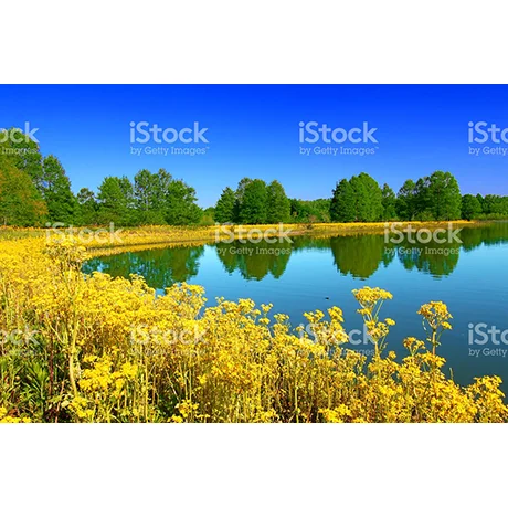Carlyle Lake