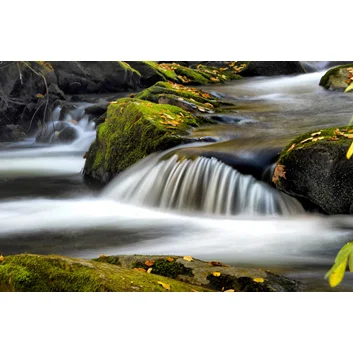 Close to Nature