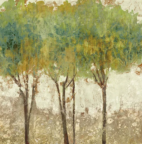 Trees in Spring