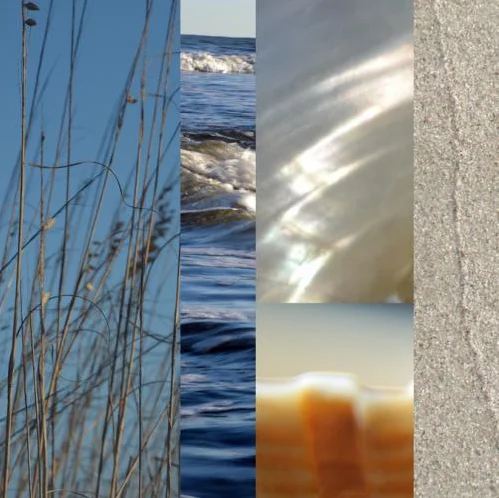 Beach In Fall