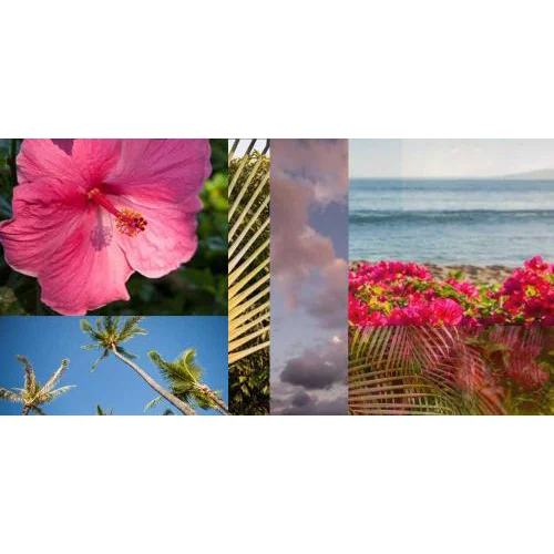 Tradewinds I