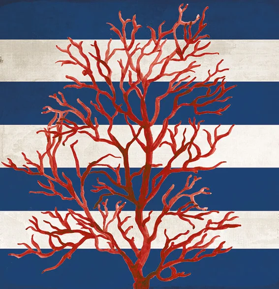 Red Coral II