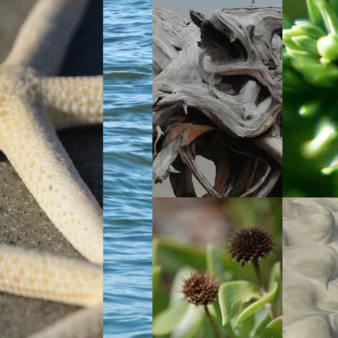 Beach Mix I