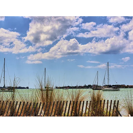 Sailboats in the Harbor