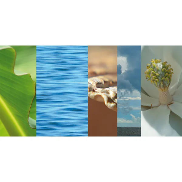 Coastal Collage I