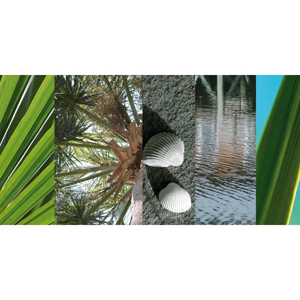 Coastal Collage 4