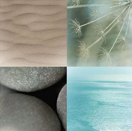 Ocean Dream