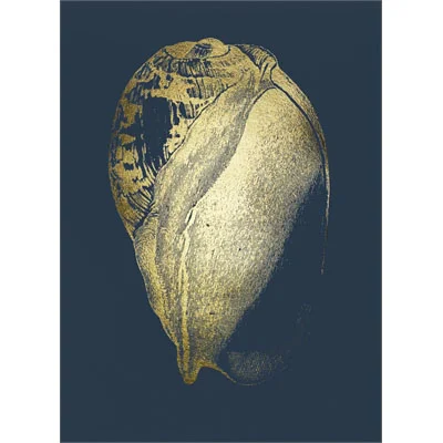 Gold Foil Shell IV on Cobalt