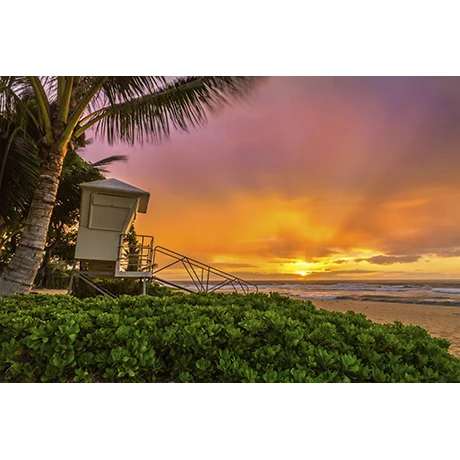 Life Guard Station
