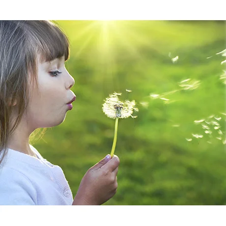 Making a Wish