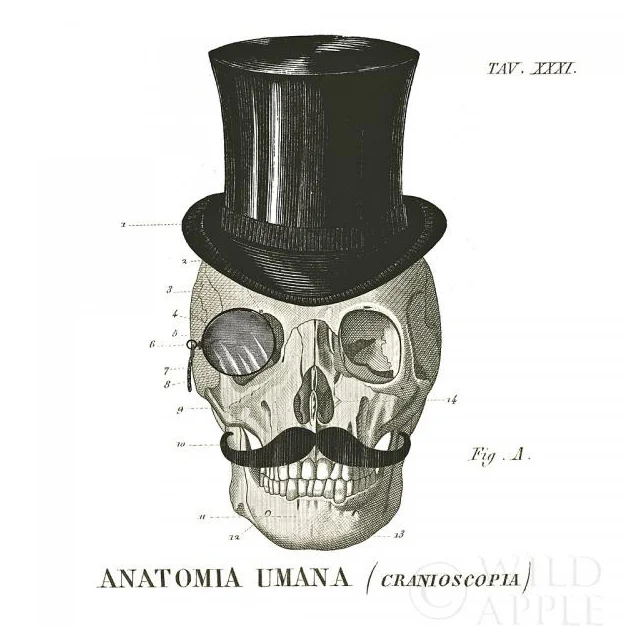 Dandy Bones I