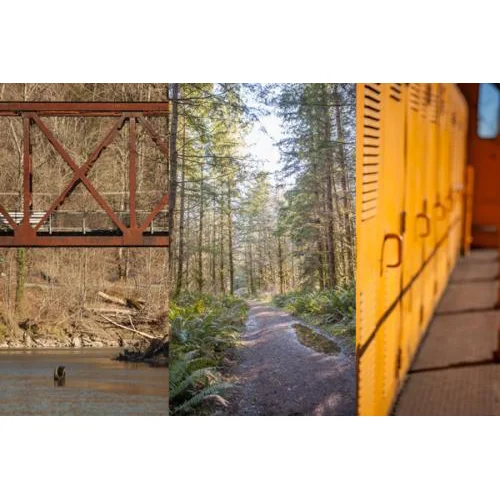 Nature Collage