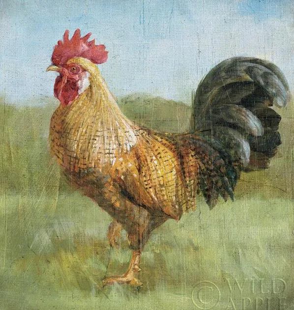 Noble Rooster II