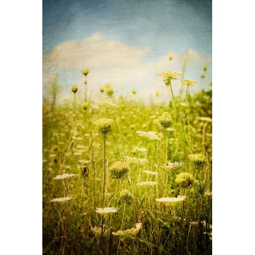 Wheat Field