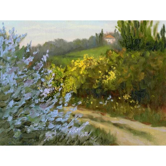 Rosemary by the Road