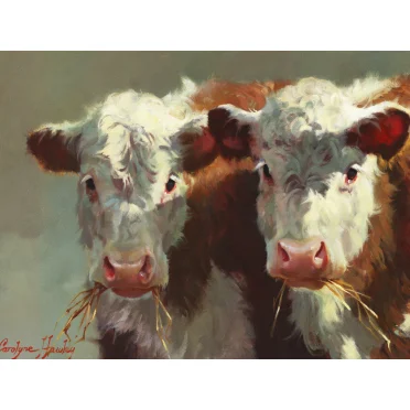Cow Belles
