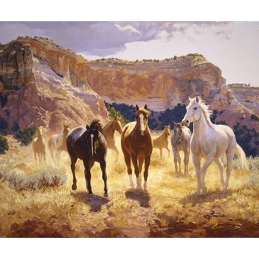 Canyon Trails