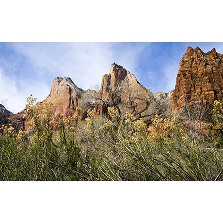 Take a Hike up the Mountain