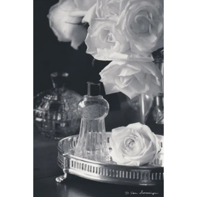 Vintage Vanity II
