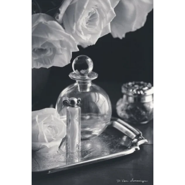 Vintage Vanity III