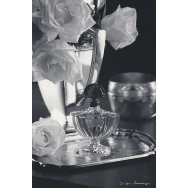 Vintage Vanity IV