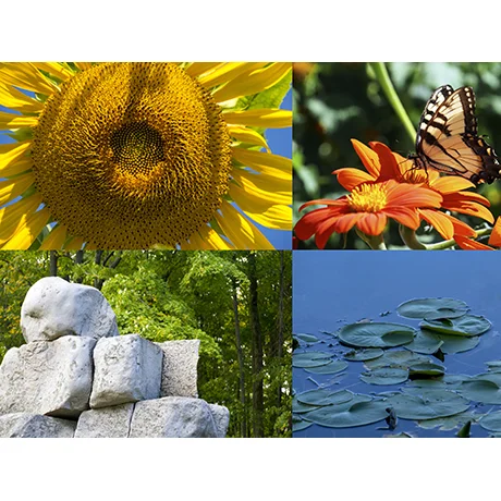 Spa Collage I