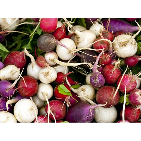 Colorful Radishes