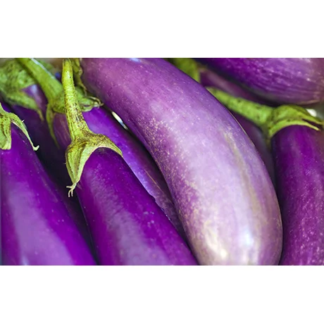 Vine Ripe Eggplant