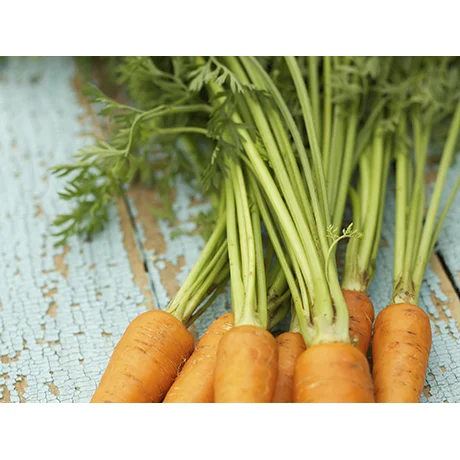 Carrots from the Garden