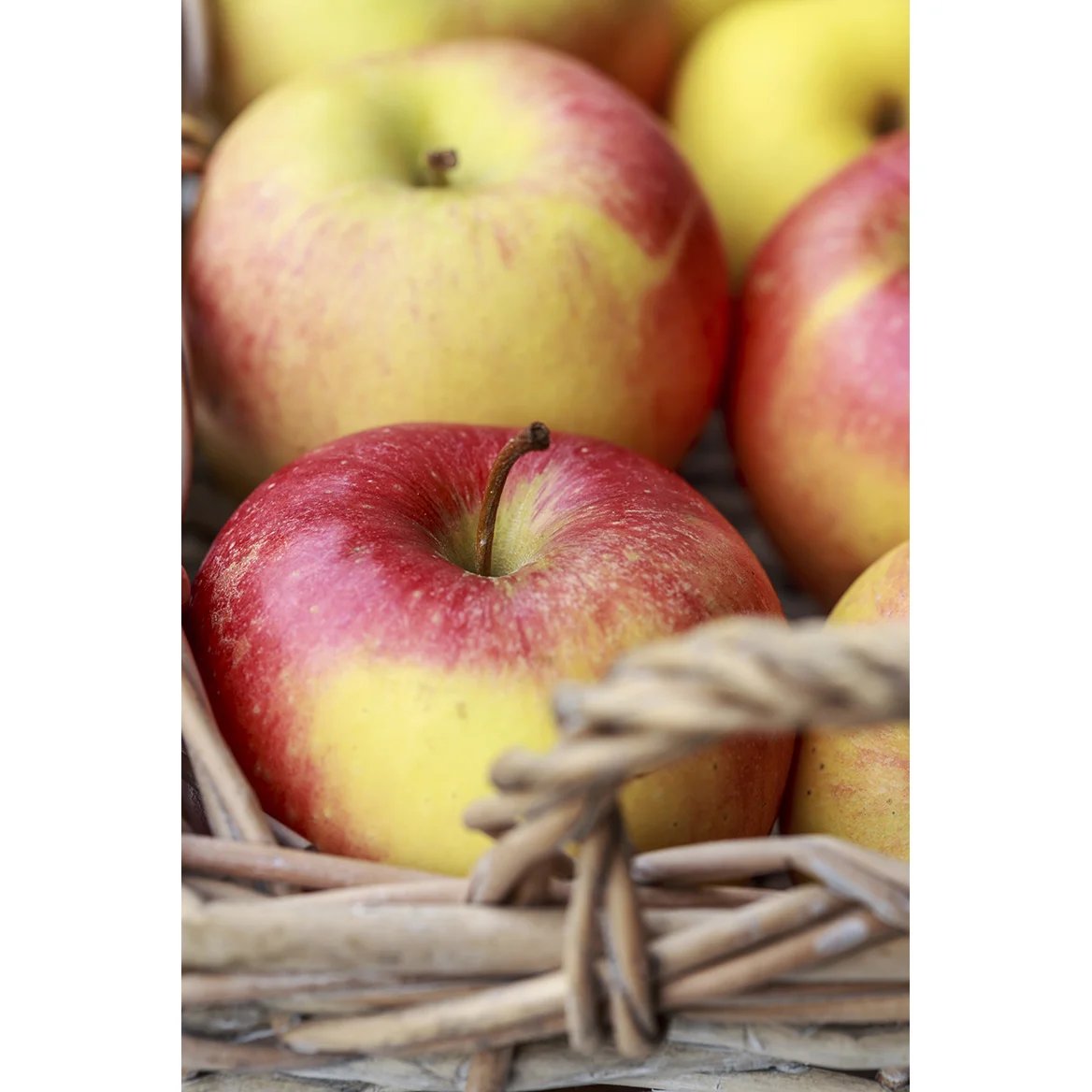 Basket of Apples