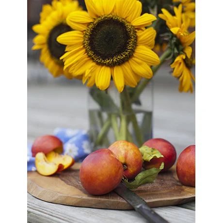 Peaches and Sunflowers
