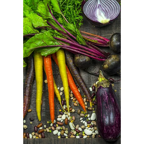 Farm to Table II