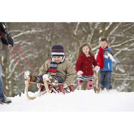 Taking a Ride on a Sled